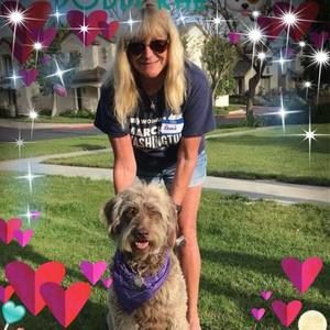 Meet your Posher, Renee